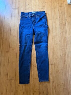 Madewell Skinny Jeans - Deep Blue Wash